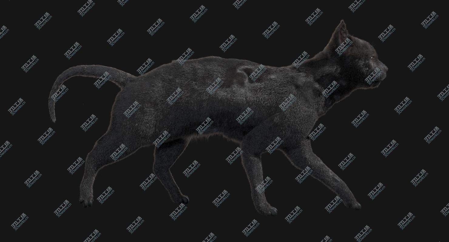 images/goods_img/202104021/3D Black Cat (Rigged) model/2.jpg
